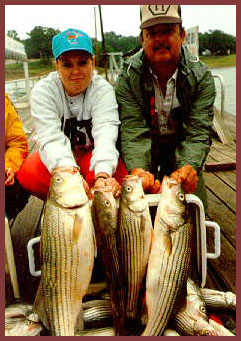 Lake Texoma Striper Fishing Guide Service