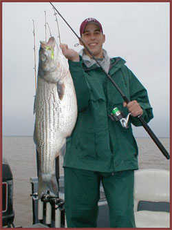 Lake Texoma Striper Fishing Guide Service